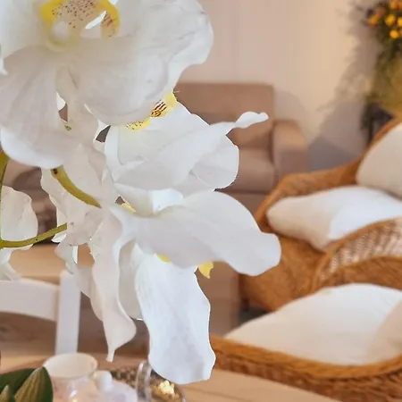 L'attico Di Beige - Luxury House Apartment *